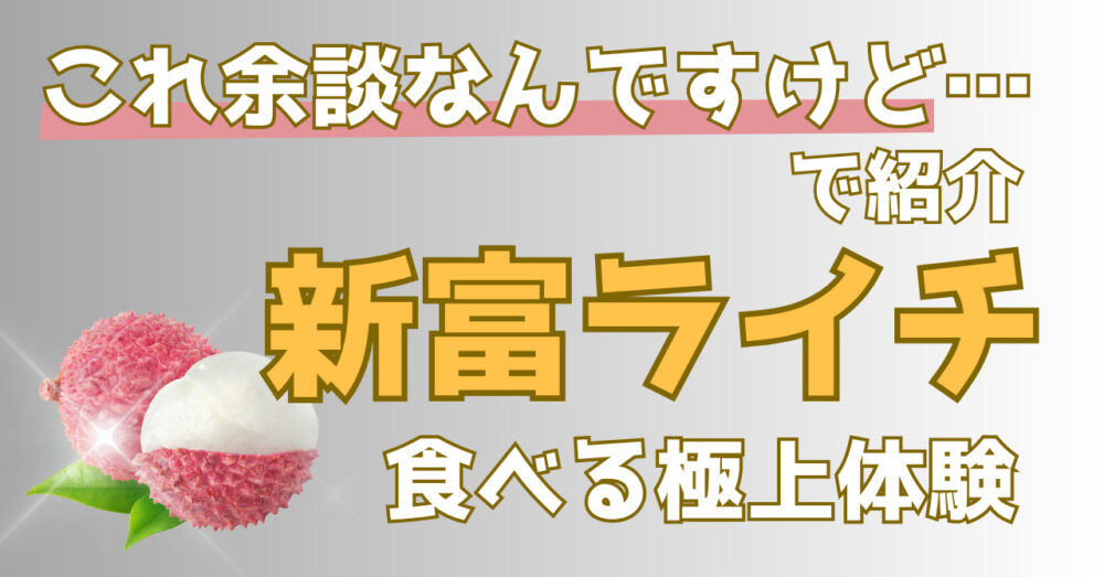 これ余談なんですけど…でフルーツ研究家中野瑞樹さんがおススメした「新富ライチ」はふるさと納税の返礼品であることを紹介した記事のアイキャッチ画像